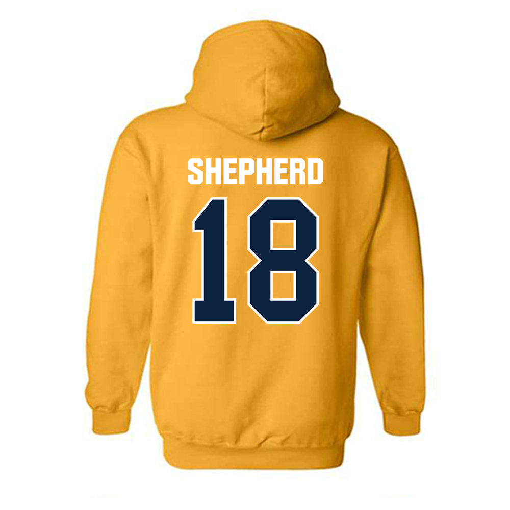 Toledo - NCAA Softball : Alexis Shepherd - Hooded Sweatshirt-1
