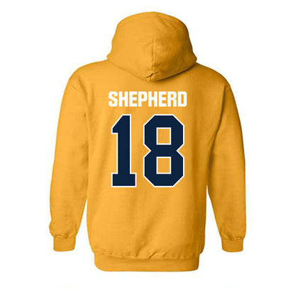 Toledo - NCAA Softball : Alexis Shepherd - Hooded Sweatshirt-1