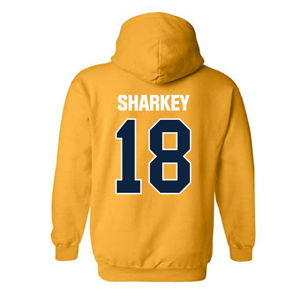 Toledo - NCAA Women's Volleyball : Caylee Sharkey - Hooded Sweatshirt-1
