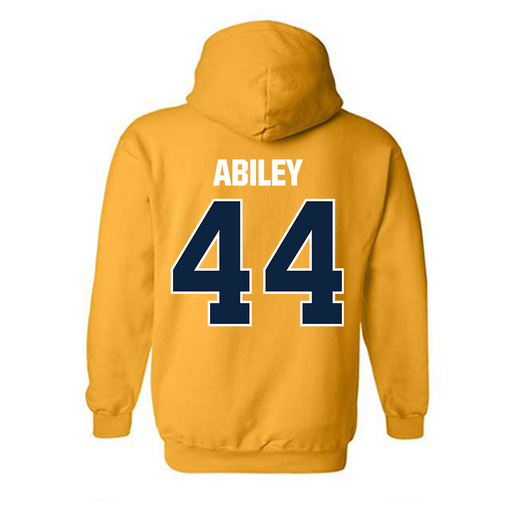 Toledo - NCAA Softball : Payton Abiley - Hooded Sweatshirt-1