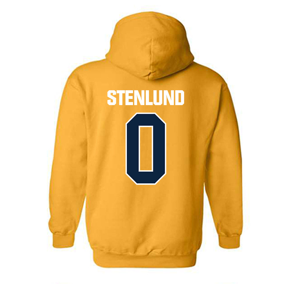 Toledo - NCAA Women's Soccer : Agnes Stenlund - Hooded Sweatshirt-1