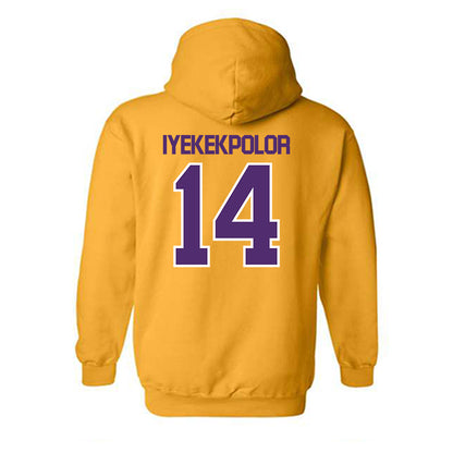 Alcorn - NCAA Women's Basketball : Arene Iyekekpolor - Classic Shersey Hooded Sweatshirt-1