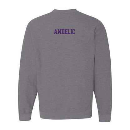 Alcorn - NCAA Women's Tennis : Matea Andelic - Classic Shersey Crewneck Sweatshirt-1