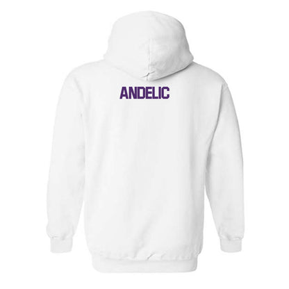 Alcorn - NCAA Women's Tennis : Matea Andelic - Classic Shersey Hooded Sweatshirt-1