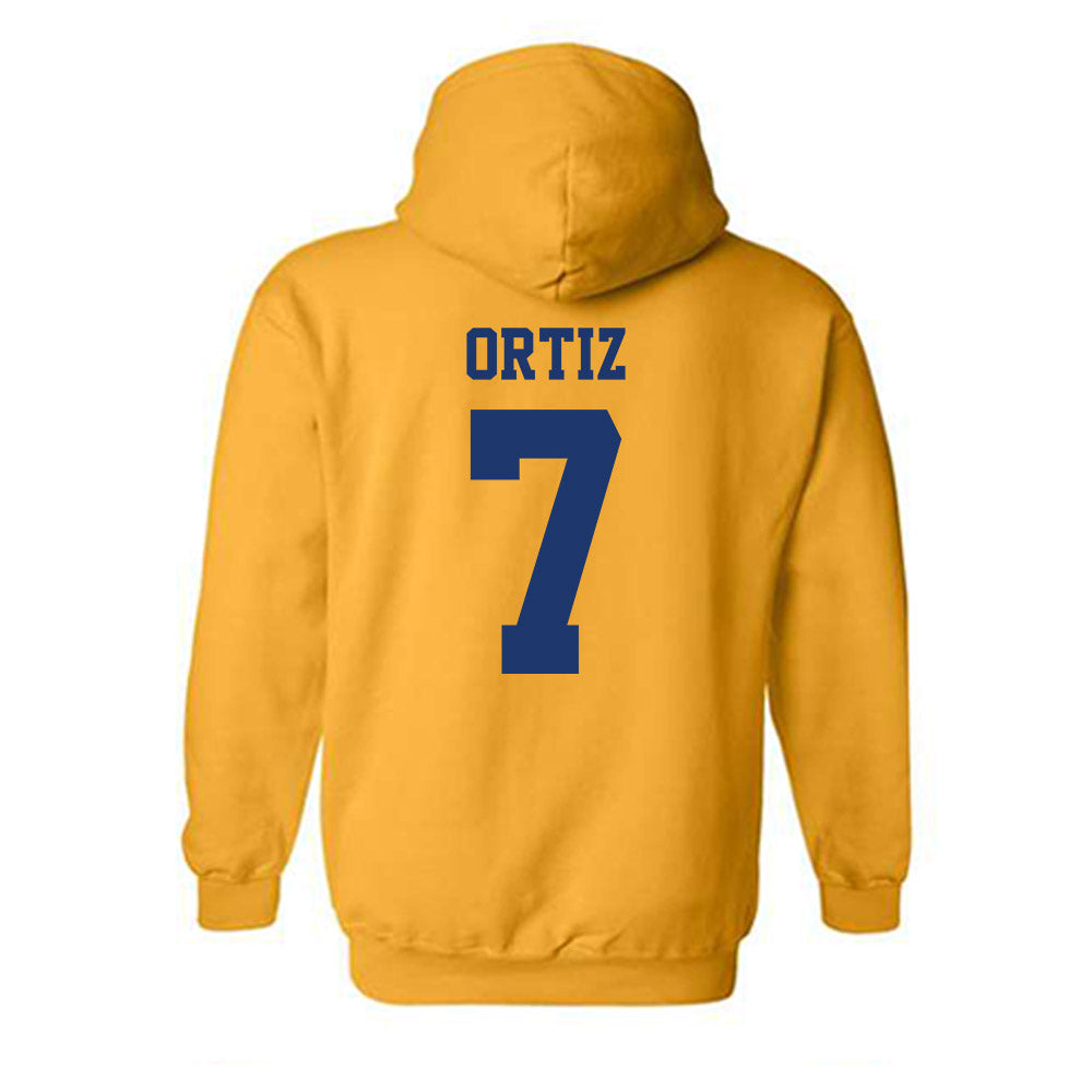 North Carolina A&T - NCAA Baseball : Angel Ortiz - Hooded Sweatshirt-1