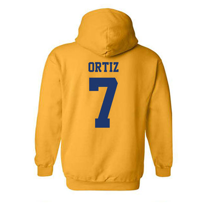 North Carolina A&T - NCAA Baseball : Angel Ortiz - Hooded Sweatshirt-1