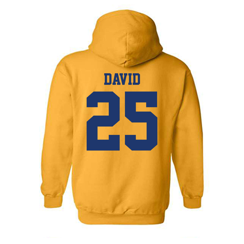 North Carolina A&T - NCAA Football : Mack David - Hooded Sweatshirt-1