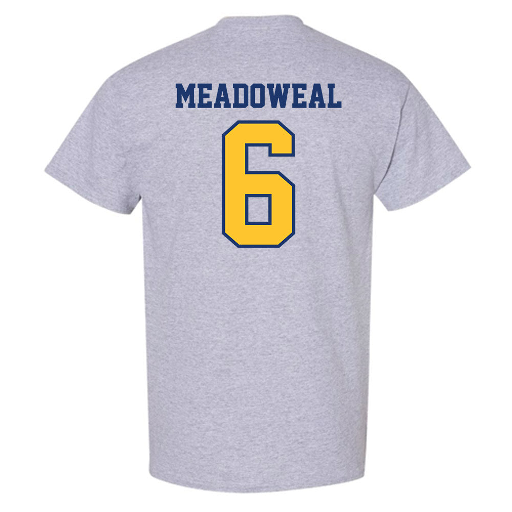 North Carolina A&T - NCAA Women's Volleyball : Charlie Meadoweal - T-Shirt-1