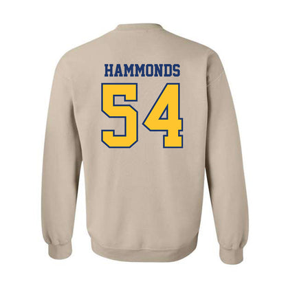 North Carolina A&T - NCAA Football : Tim Hammonds - Crewneck Sweatshirt-1