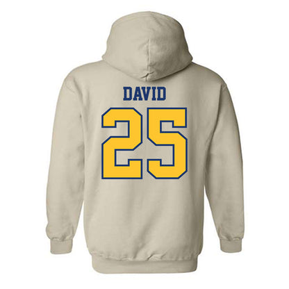 North Carolina A&T - NCAA Football : Mack David - Hooded Sweatshirt-1