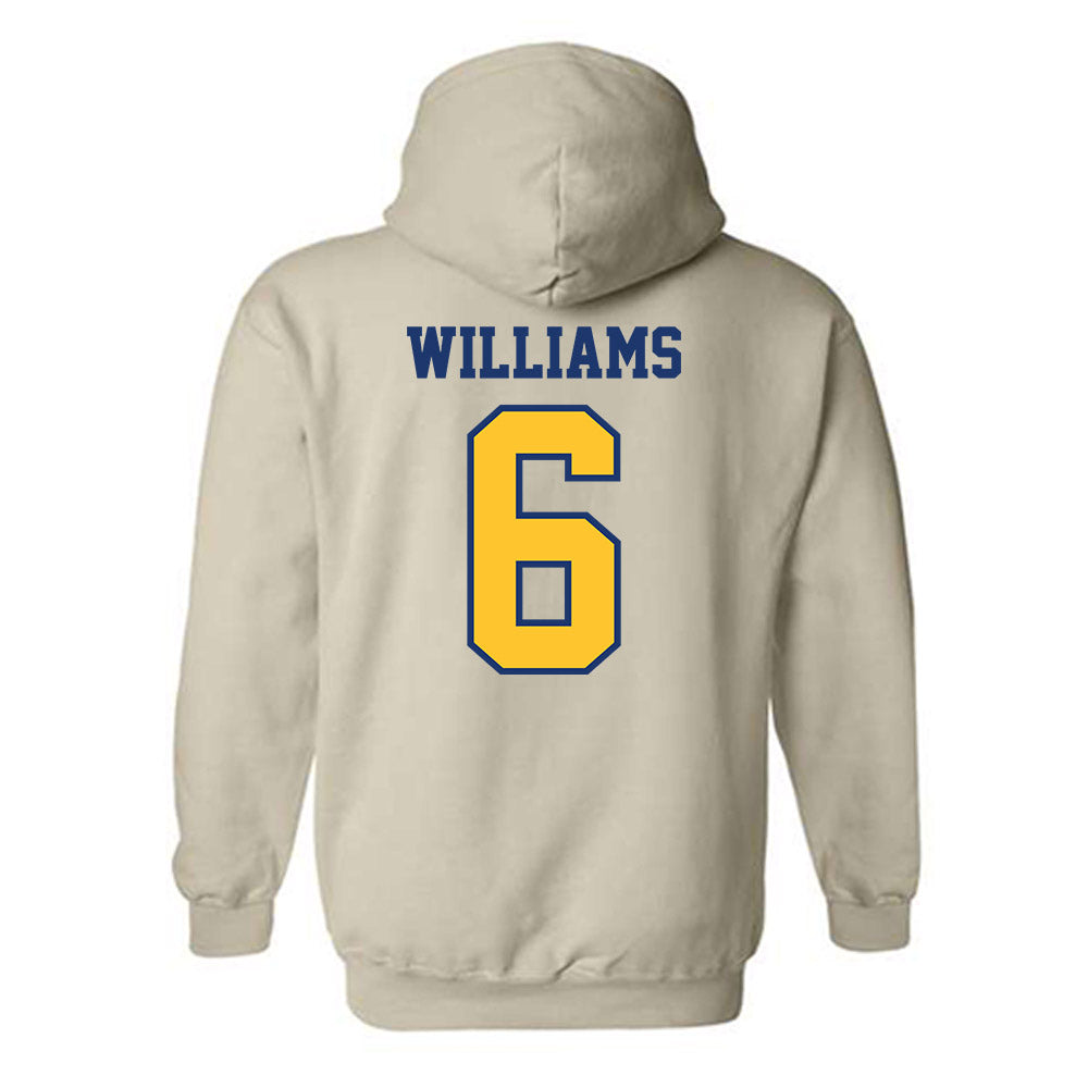 North Carolina A&T - NCAA Football : Ty Williams - Hooded Sweatshirt-1
