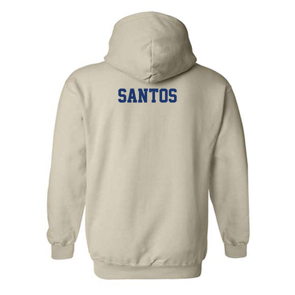 North Carolina A&T - NCAA Men's Tennis : Kaua Santos - Hooded Sweatshirt-1
