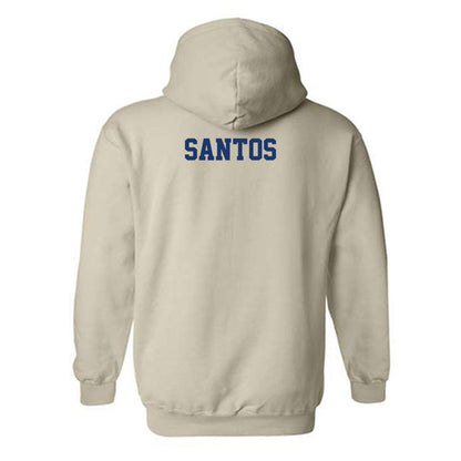 North Carolina A&T - NCAA Men's Tennis : Kaua Santos - Hooded Sweatshirt-1