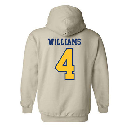 North Carolina A&T - NCAA Softball : Katriel Williams - Hooded Sweatshirt-1