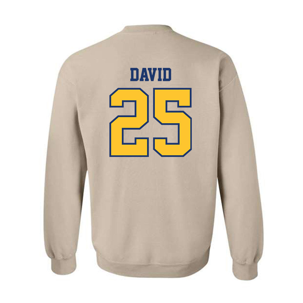 North Carolina A&T - NCAA Football : Mack David - Crewneck Sweatshirt-1