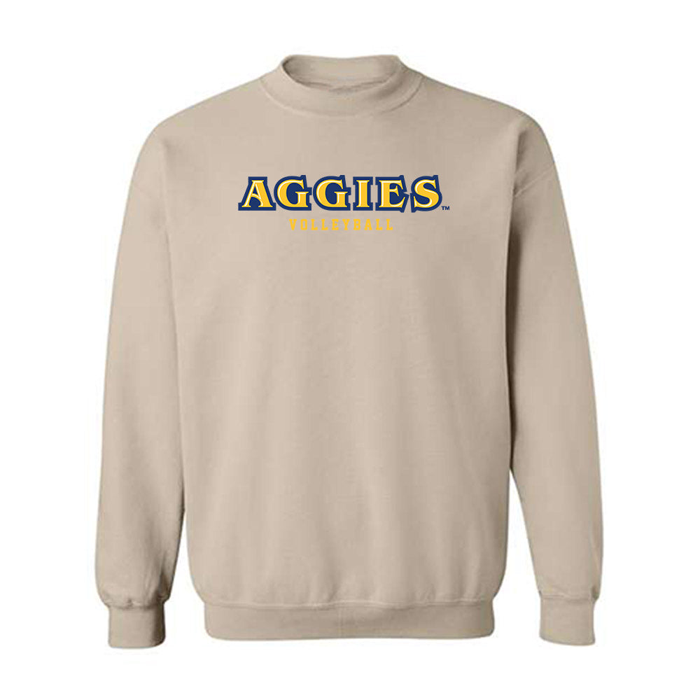 North Carolina A&T - NCAA Women's Volleyball : Tyne Ross - Crewneck Sweatshirt-0