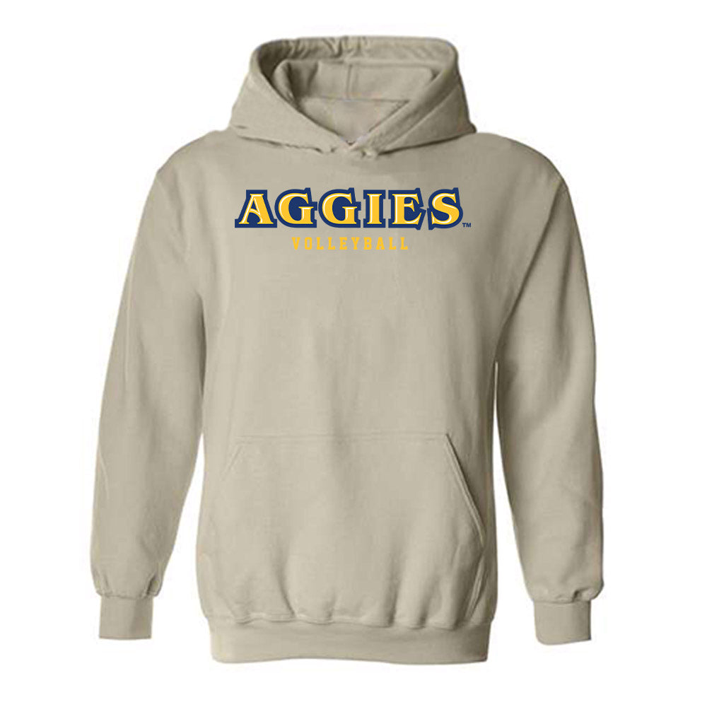 North Carolina A&T - NCAA Women's Volleyball : Charlie Meadoweal - Hooded Sweatshirt-0