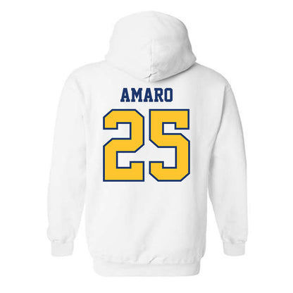 North Carolina A&T - NCAA Baseball : Kristian Amaro - Hooded Sweatshirt-1
