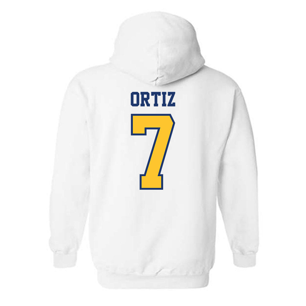 North Carolina A&T - NCAA Baseball : Angel Ortiz - Hooded Sweatshirt-1