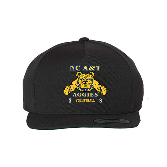 North Carolina A&T - NCAA Women's Volleyball : Tyne Ross - Snapback Hat-0