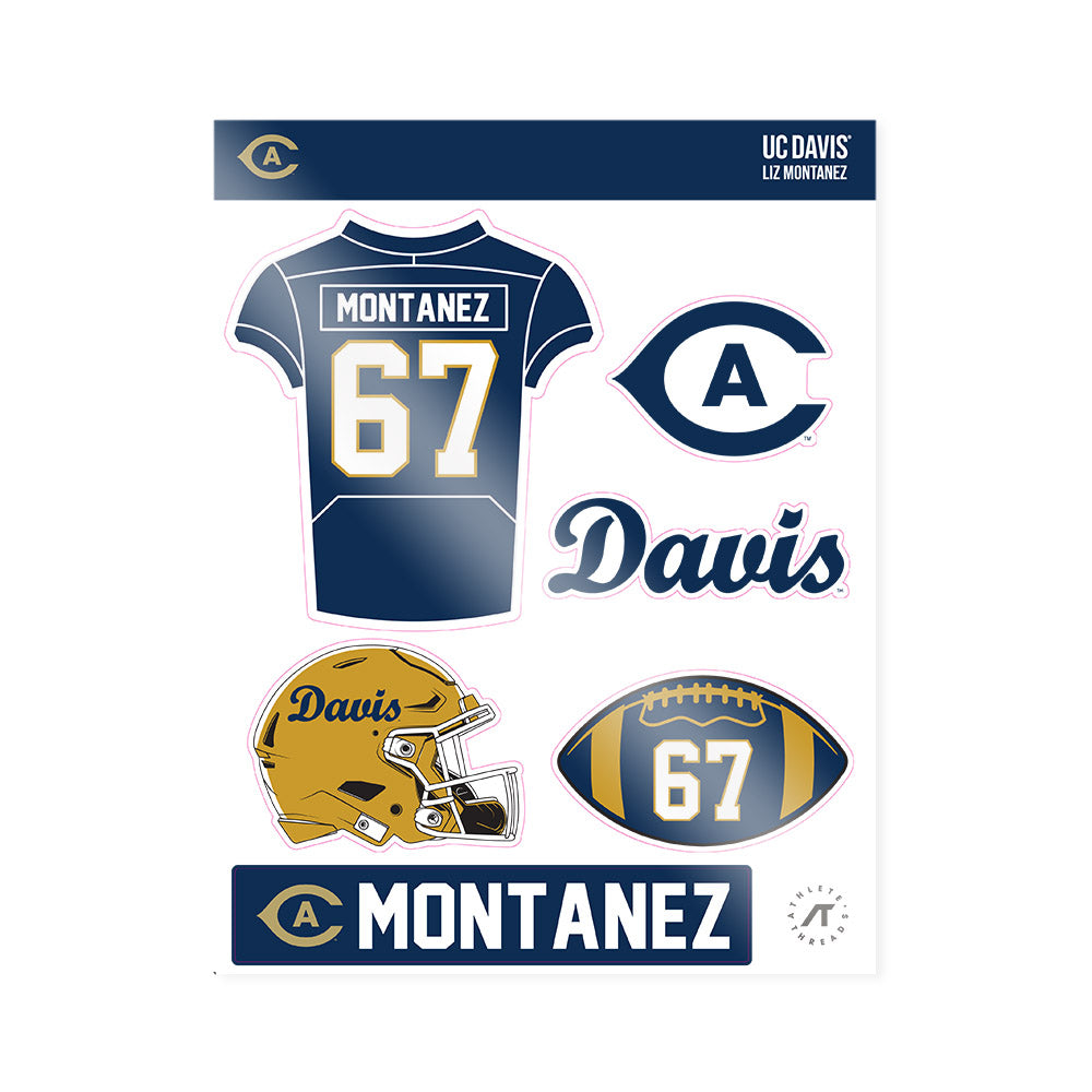 UC Davis - NCAA Football : Liz Montanez - Sticker Sheet-0