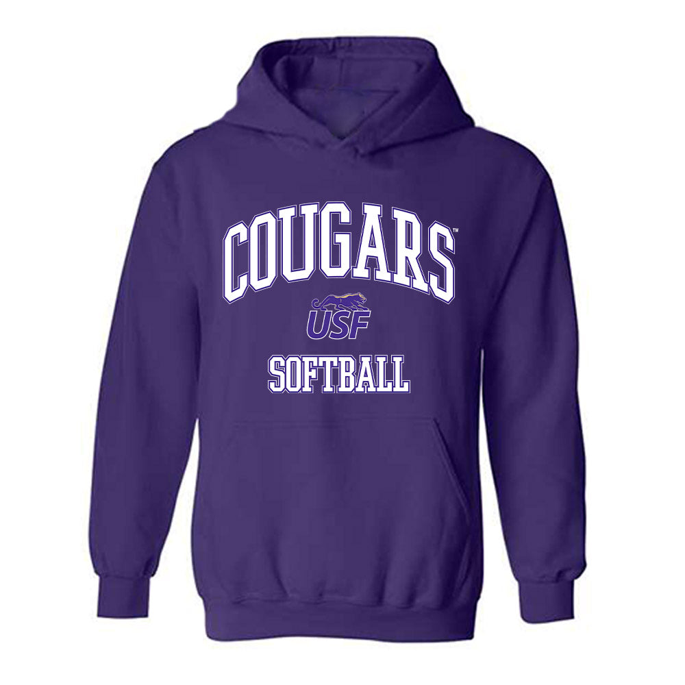 Sioux Falls - NCAA Softball : Morgan Linstad - Classic Shersey Hooded Sweatshirt-0