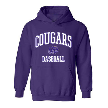 Sioux Falls - NCAA Baseball : Logan Anderson - Classic Shersey Hooded Sweatshirt-0