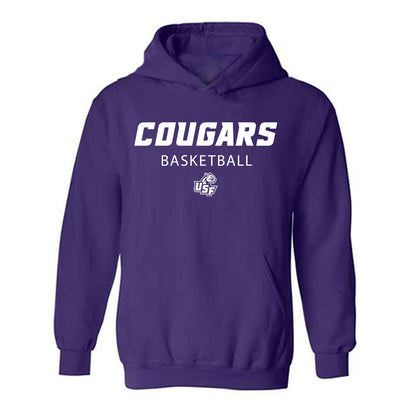 Sioux Falls - NCAA Men's Basketball : Alexander Mattes - Classic Shersey Hooded Sweatshirt-0