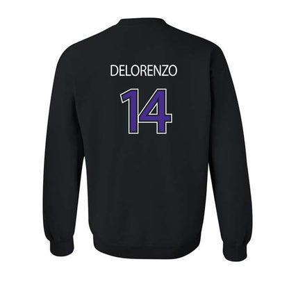 Sioux Falls - NCAA Softball : Brianna Delorenzo - Classic Shersey Crewneck Sweatshirt-1