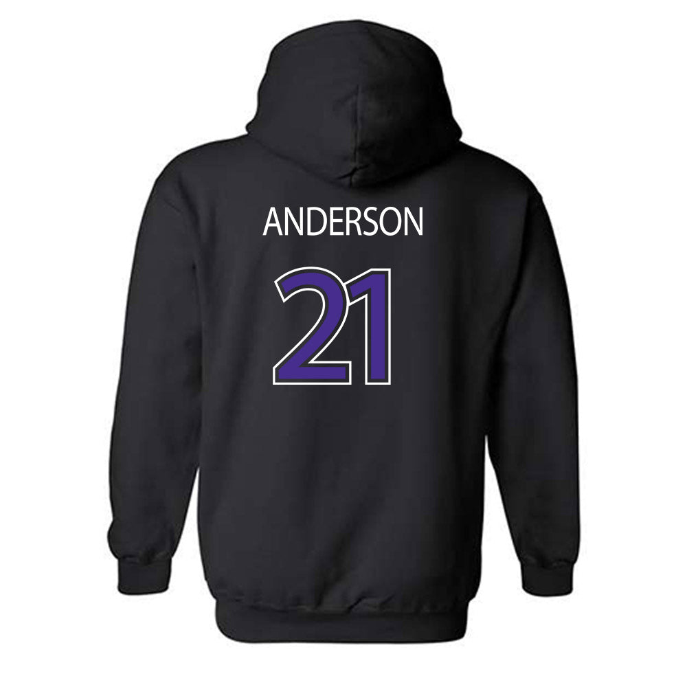 Sioux Falls - NCAA Baseball : Logan Anderson - Classic Shersey Hooded Sweatshirt-1