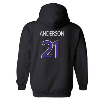 Sioux Falls - NCAA Baseball : Logan Anderson - Classic Shersey Hooded Sweatshirt-1