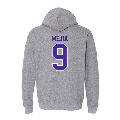 Sioux Falls - NCAA Softball : Ava Mejia - Classic Shersey Hooded Sweatshirt-1