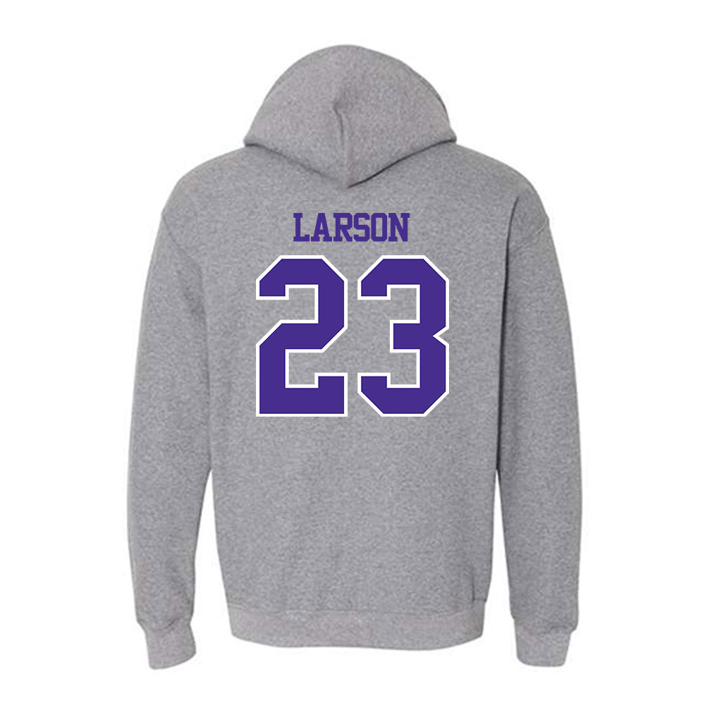 Sioux Falls - NCAA Baseball : Eli Larson - Classic Shersey Hooded Sweatshirt-1