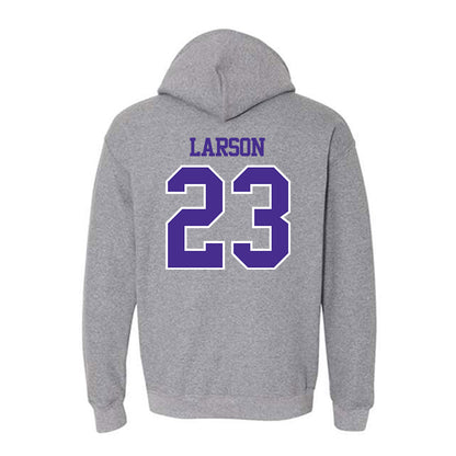 Sioux Falls - NCAA Baseball : Eli Larson - Classic Shersey Hooded Sweatshirt-1