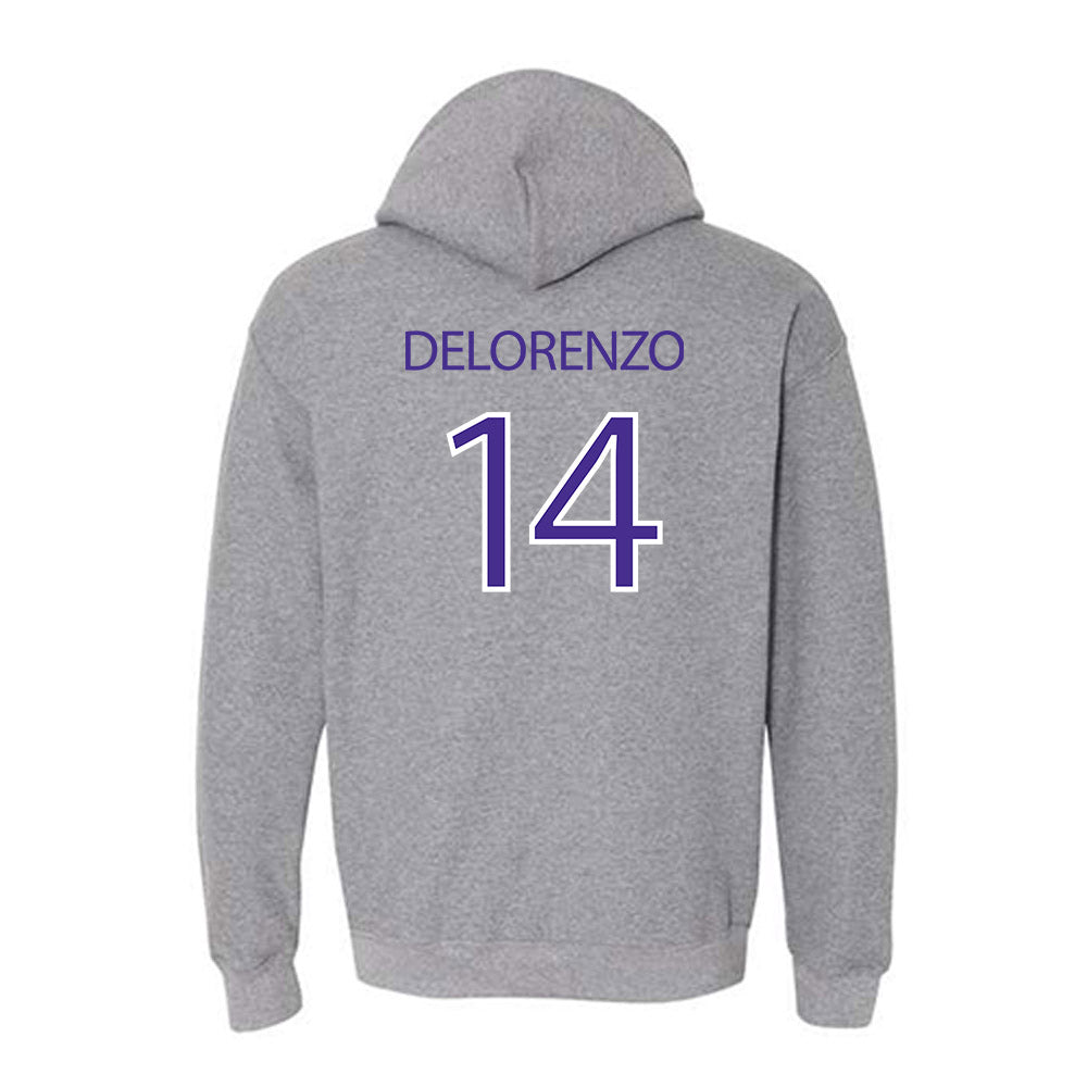 Sioux Falls - NCAA Softball : Brianna Delorenzo - Classic Shersey Hooded Sweatshirt-1