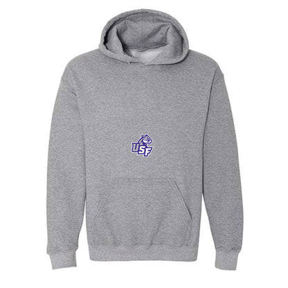 Sioux Falls - NCAA Men's Basketball : Alexander Mattes - Classic Shersey Hooded Sweatshirt-0
