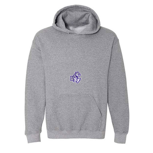 Sioux Falls - NCAA Men's Basketball : Alexander Mattes - Classic Shersey Hooded Sweatshirt-0