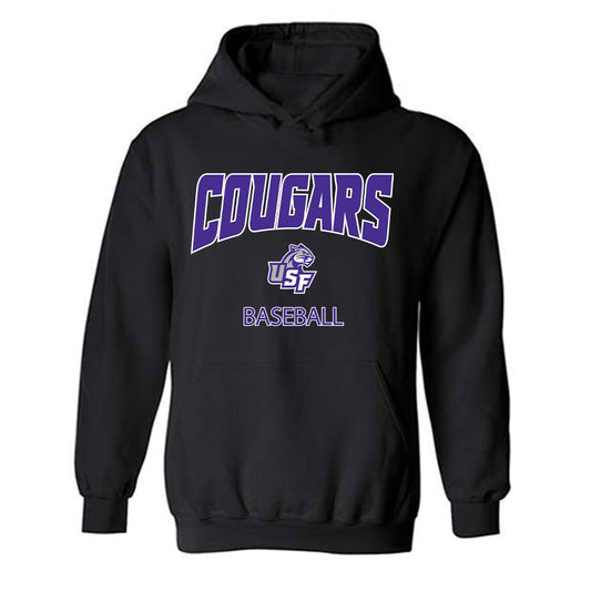 Sioux Falls - NCAA Baseball : Ashton Pick - Classic Shersey Hooded Sweatshirt-0