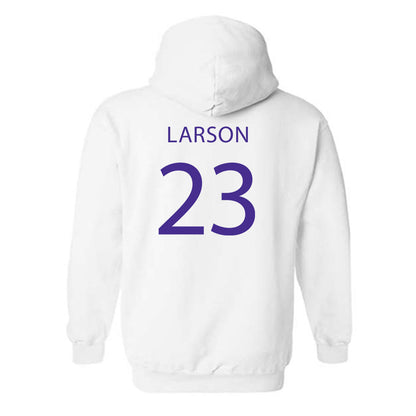 Sioux Falls - NCAA Baseball : Eli Larson - Classic Shersey Hooded Sweatshirt-1