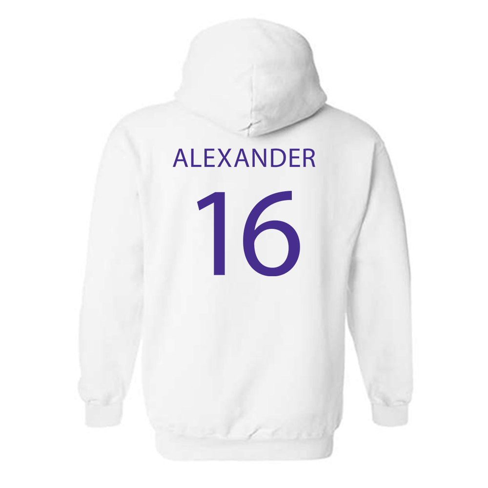 Sioux Falls - NCAA Softball : Alexis Alexander - Classic Shersey Hooded Sweatshirt-1