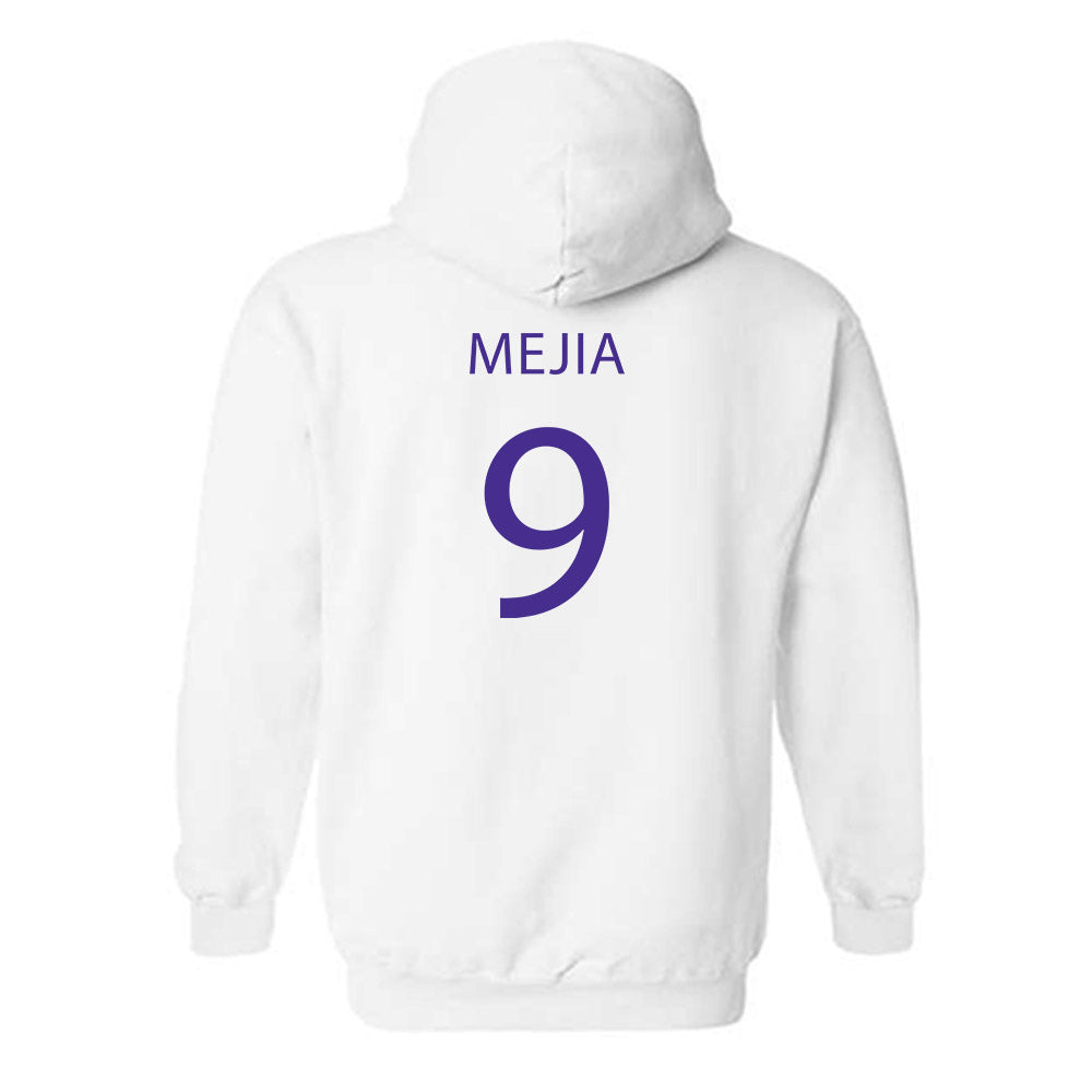 Sioux Falls - NCAA Softball : Ava Mejia - Classic Shersey Hooded Sweatshirt-1