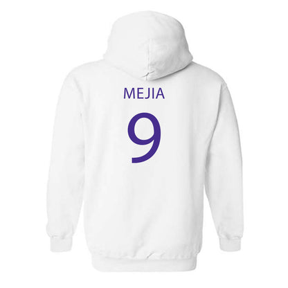 Sioux Falls - NCAA Softball : Ava Mejia - Classic Shersey Hooded Sweatshirt-1