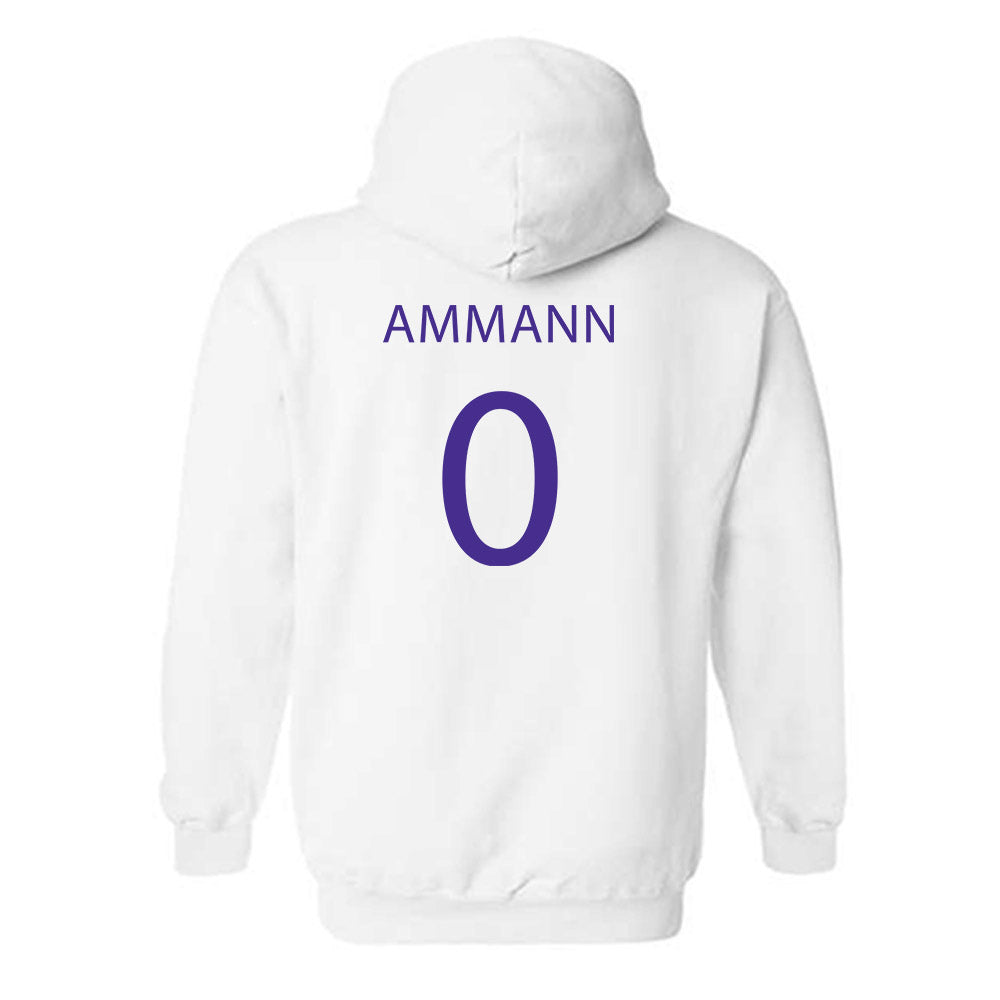 Sioux Falls - NCAA Baseball : Jake Ammann - Classic Shersey Hooded Sweatshirt-1