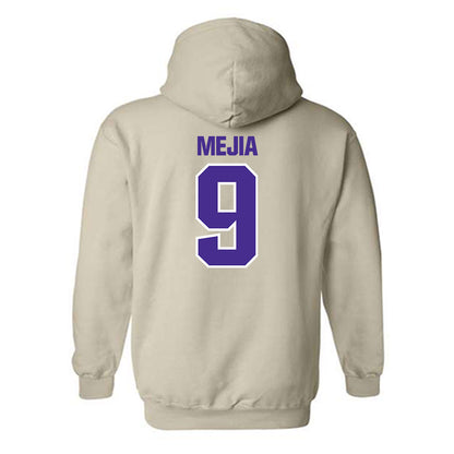 Sioux Falls - NCAA Softball : Ava Mejia - Classic Shersey Hooded Sweatshirt-1