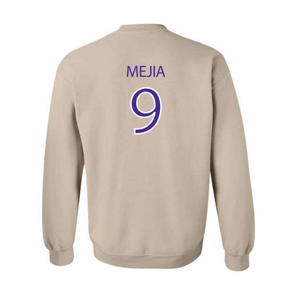 Sioux Falls - NCAA Softball : Ava Mejia - Classic Shersey Crewneck Sweatshirt-1