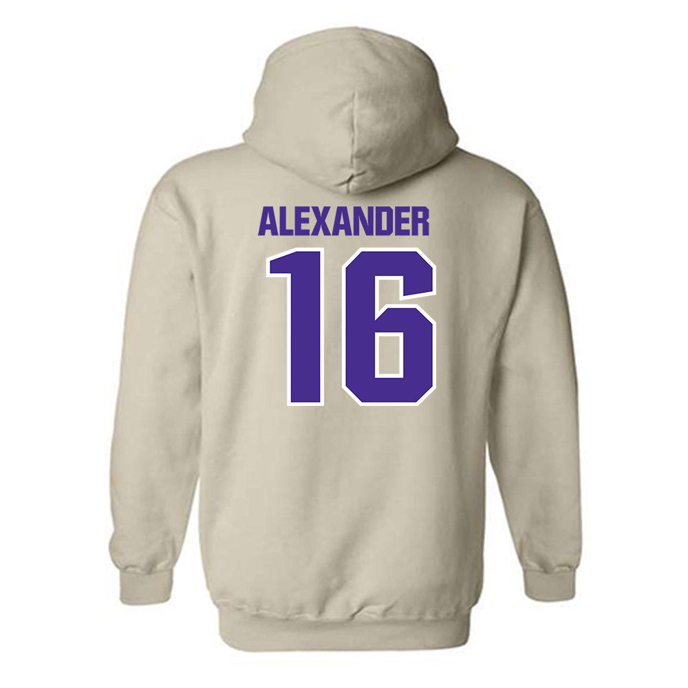 Sioux Falls - NCAA Softball : Alexis Alexander - Classic Shersey Hooded Sweatshirt-1