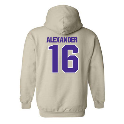 Sioux Falls - NCAA Softball : Alexis Alexander - Classic Shersey Hooded Sweatshirt-1