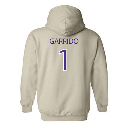 Sioux Falls - NCAA Softball : Tori Garrido - Classic Shersey Hooded Sweatshirt-1
