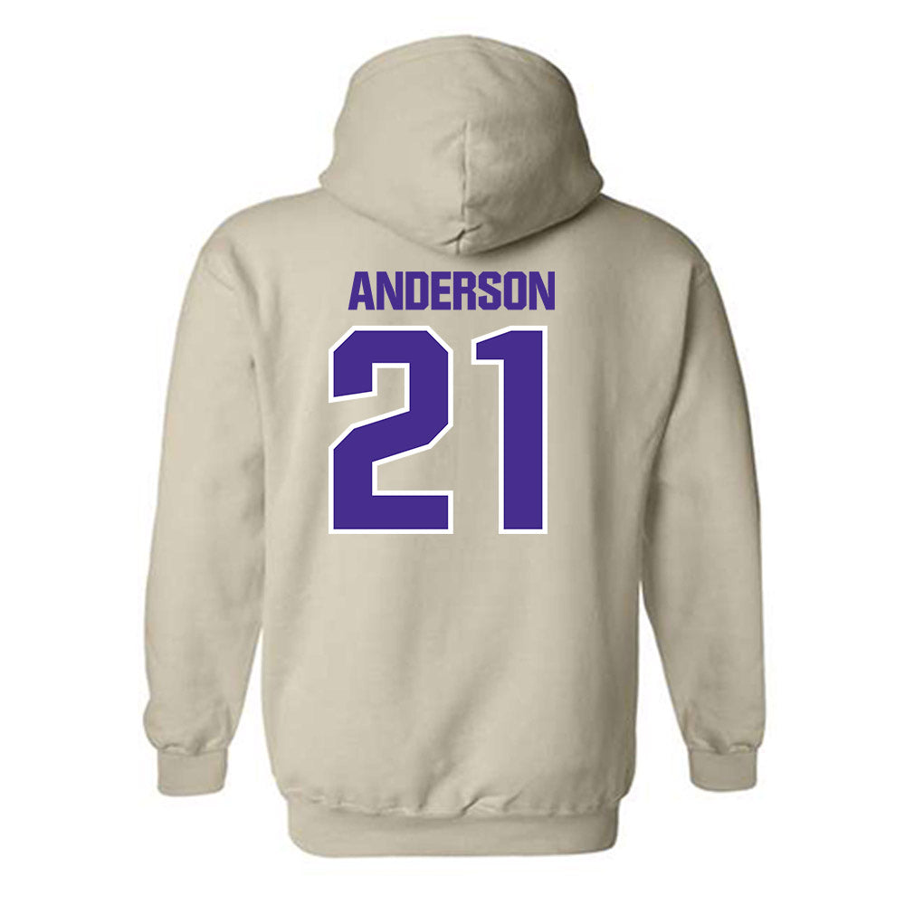 Sioux Falls - NCAA Baseball : Logan Anderson - Classic Shersey Hooded Sweatshirt-1