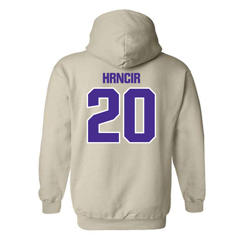 Sioux Falls - NCAA Men's Basketball : Brandon Hrncir - Classic Shersey Hooded Sweatshirt-1